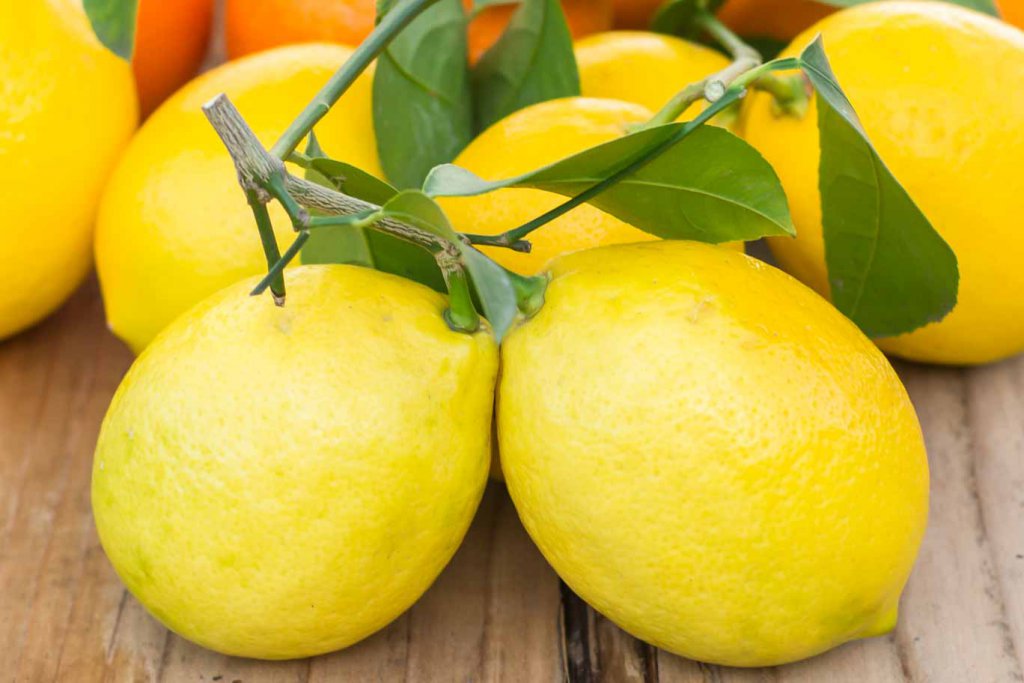 Lemons from the Farmers market with their leaves still on