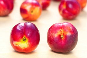 Two nectarines; the one on the right shows pale yellow-green around the stem and the left one has color around the stem and sun spots.