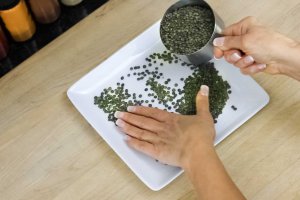 Sorting Lentils: Slowly pouring lentils on a white square plate and picking through them for foreign particles.