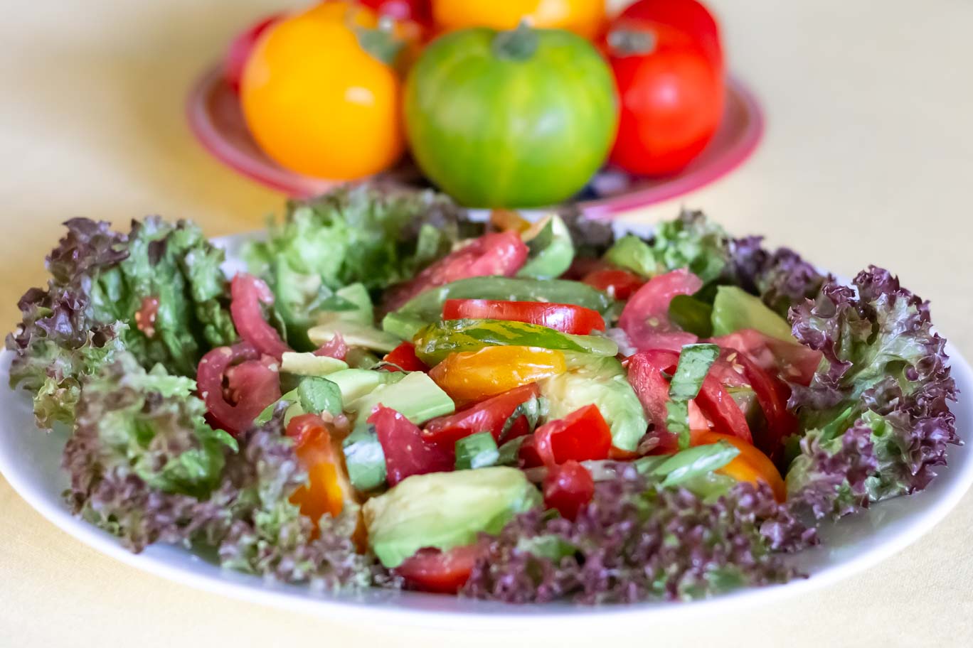 Summer Tomatoes & Avocado Salad on bed of red leaf lettuce with whole tomatoes behind.