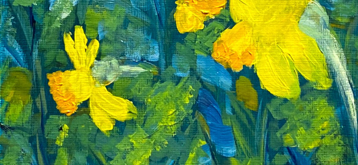 Garden Daffodils