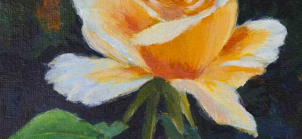 Acrylic Painting: Sunlit single rose.