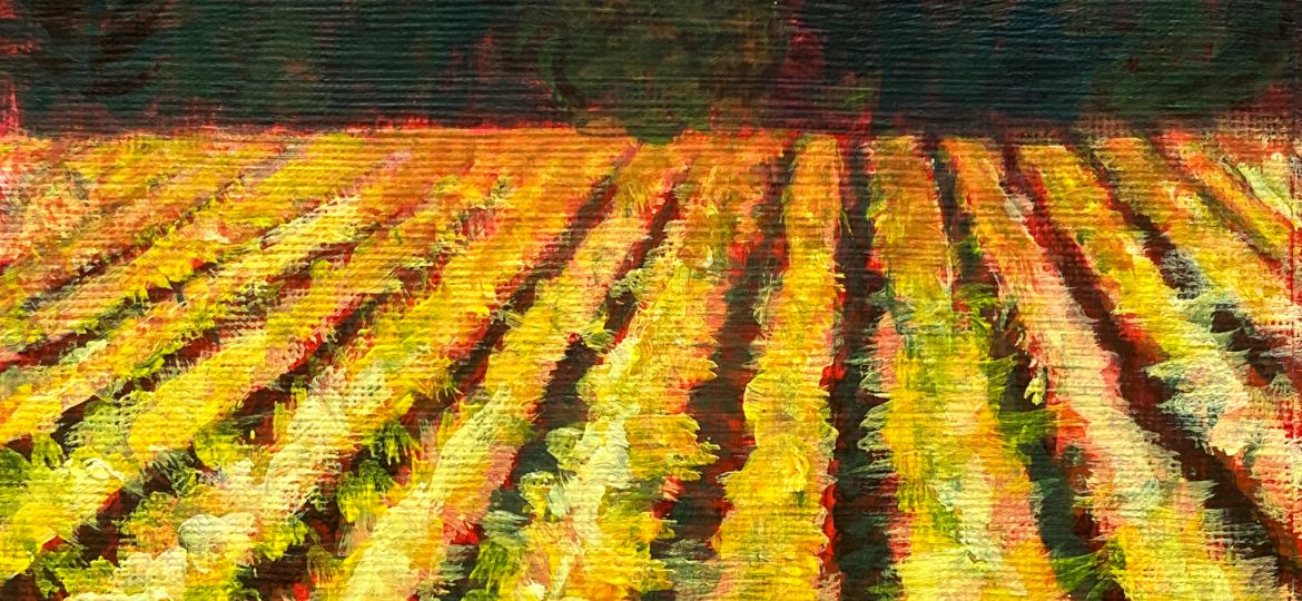 Fall Vineyard