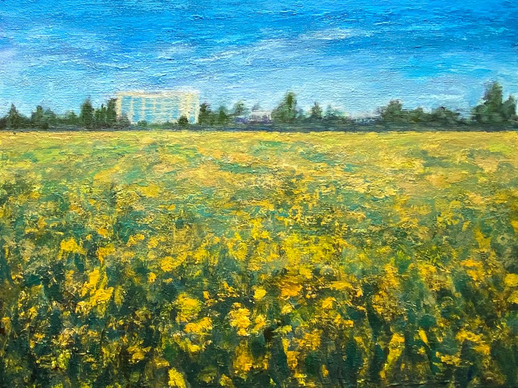 Yellow Field That Was