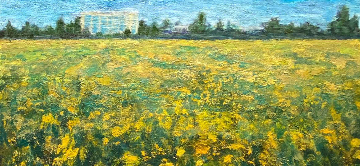 Yellow Field That Was